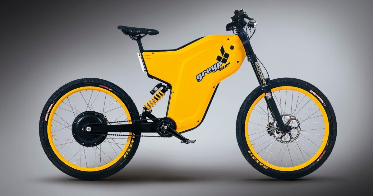 Electric Bike